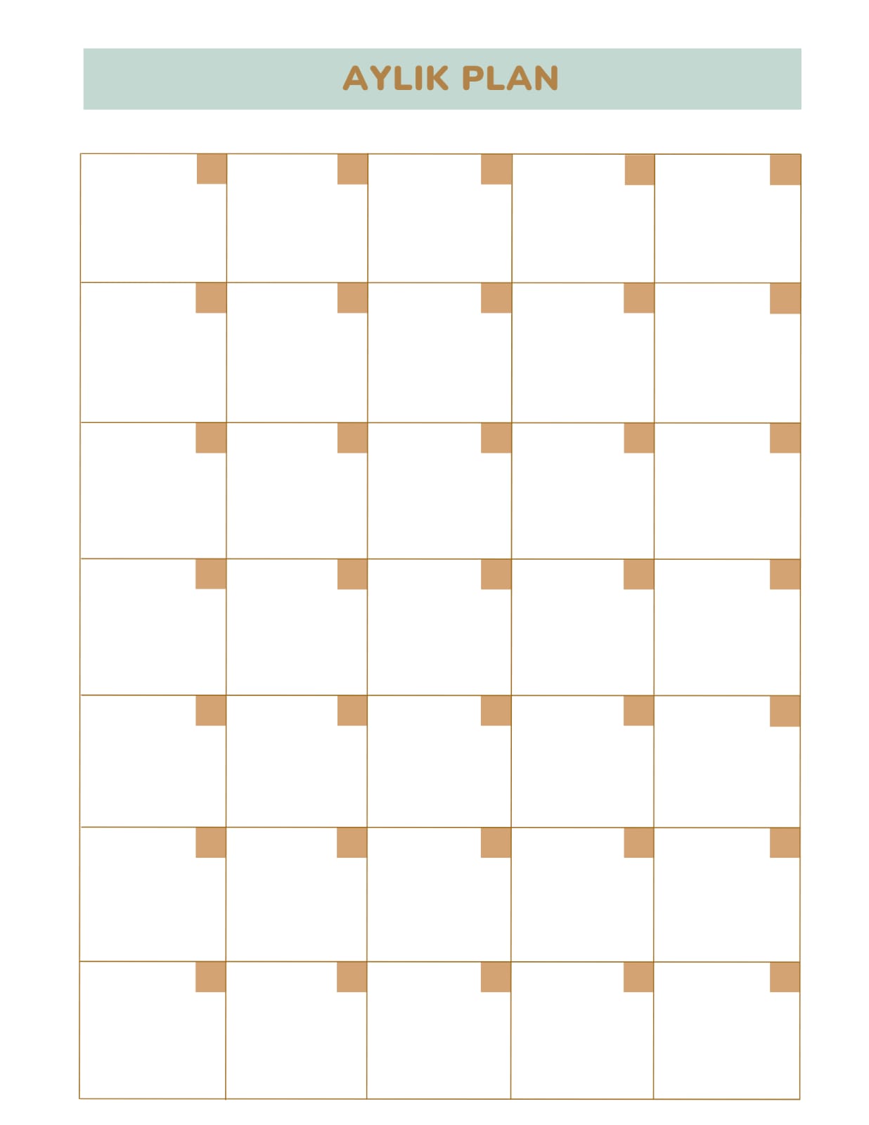 WhatsApp Image 2026-01-01 at 17.30.39